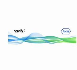 navify logo